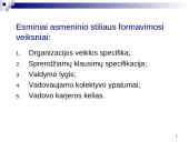 Susipažinimas su vadovavimo esme 11 puslapis