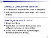 Susipažinimas su vadovavimo esme 16 puslapis