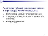 Susipažinimas su vadovavimo esme 17 puslapis