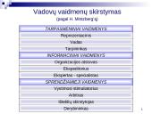 Susipažinimas su vadovavimo esme 8 puslapis
