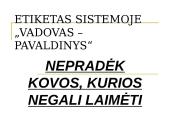 Vadovo ir pavaldinio bendravimas 12 puslapis