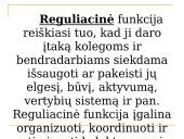 Vadovo ir pavaldinio bendravimas 7 puslapis
