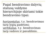 Vadovo ir pavaldinio bendravimas 9 puslapis
