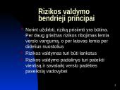 Valiutinės rizikos valdymas 3 puslapis