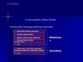 Valstybės vaidmuo plėtojant informacinių produktų ir paslaugų ekonomiką 11 puslapis