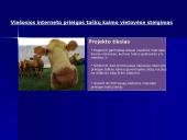 Valstybės vaidmuo plėtojant informacinių produktų ir paslaugų ekonomiką 8 puslapis