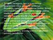 Varliagyvių dauginimasis ir vystymasis 2 puslapis