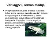 Varliagyvių dauginimasis ir vystymasis 5 puslapis
