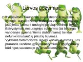 Varliagyvių dauginimasis ir vystymasis 6 puslapis