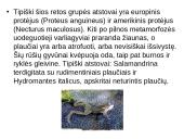 Varliagyvių dauginimasis ir vystymasis 10 puslapis