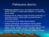 Vartotojas ir paklausa 3 puslapis