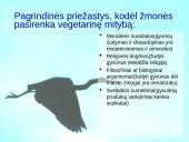 Vegetarizmas ir jo pasirinkimo priežastys 2 puslapis