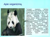 Vegetarizmas ir jo pasirinkimo priežastys 4 puslapis