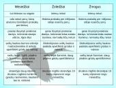 Vegetarizmas ir jo pasirinkimo priežastys 8 puslapis