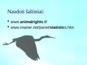 Vegetarizmas ir jo pasirinkimo priežastys 10 puslapis