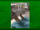 Vegetarizmas – kas tai? 15 puslapis