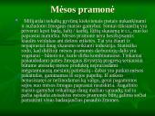 Vegetarizmas – kas tai? 16 puslapis