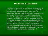 Vegetarizmas – kas tai? 19 puslapis