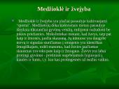 Vegetarizmas – kas tai? 20 puslapis