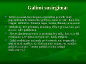 Vegetarizmas – kas tai? 9 puslapis