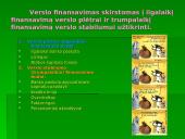 Verslo finansavimo būdai. Faktoringas bei overdraftas 3 puslapis