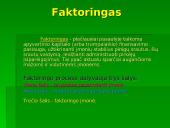 Verslo finansavimo būdai. Faktoringas bei overdraftas 4 puslapis