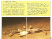 Vėžiagyviai 15 puslapis