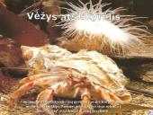 Vėžiagyviai 18 puslapis