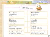 Vėžiagyviai 3 puslapis