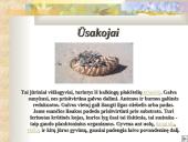 Vėžiagyviai 6 puslapis