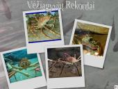 Vėžiagyviai 9 puslapis