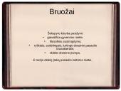 Viljamas Šekspyras - anglų rašytojas, poetas ir dramaturgas  9 puslapis