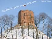 Vilnius ir jo lankytinos vietos 7 puslapis