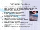 Vyriausybės vertybiniai popieriai ir jų poveikis ekonomikai 15 puslapis