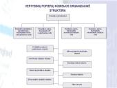 Vyriausybės vertybiniai popieriai ir jų poveikis ekonomikai 17 puslapis