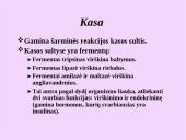 Žmogaus virškinimo sistemos organai 12 puslapis