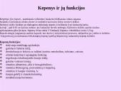 Žmogaus virškinimo sistemos organai 14 puslapis