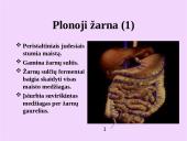 Žmogaus virškinimo sistemos organai 15 puslapis