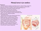 Žmogaus virškinimo sistemos organai 16 puslapis