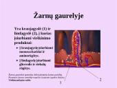 Žmogaus virškinimo sistemos organai 17 puslapis