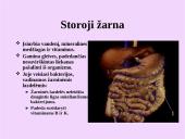 Žmogaus virškinimo sistemos organai 18 puslapis