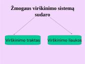 Žmogaus virškinimo sistemos organai 3 puslapis