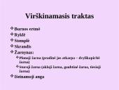 Žmogaus virškinimo sistemos organai 4 puslapis