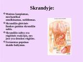 Žmogaus virškinimo sistemos organai 9 puslapis