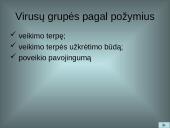 Kompiuterinių virusų grėsmė 12 puslapis