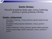 Virusų, bakterijų, protistų ir grybų praktinė reikšmė 2 puslapis