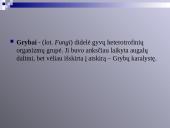 Virusų, bakterijų, protistų ir grybų praktinė reikšmė 14 puslapis