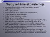 Virusų, bakterijų, protistų ir grybų praktinė reikšmė 15 puslapis