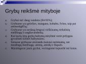 Virusų, bakterijų, protistų ir grybų praktinė reikšmė 16 puslapis