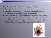 Virusų, bakterijų, protistų ir grybų praktinė reikšmė 6 puslapis
